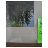 "Teton Morning" framed wall art by John Gill