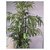 7' tall black-stem bamboo decorative plant in planter