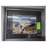 Framed owl picture about 23in X 19in