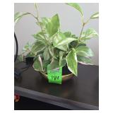 Artificial flamingo Hoya decorative plant