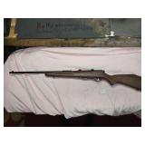 Savage Model 93 .22 WMR