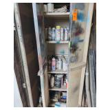Plastic storage cabinet with contents