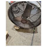 Fan