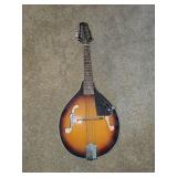 Archer Telluride A-stlye mandolin