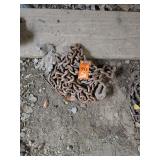 Chain