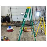 Werner 8' Fiberglass Step Ladder