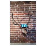 BEAUTIFUL 6X6 BULL ELK HEAD MOUNT TAXIDERMY
