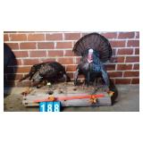 STRUTTING GOBBLER & BEARDED HEN FULL MOUNTS