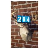 VERY LARGE 10 POINT WHITETAIL BUCK SHOULDER MOUNT