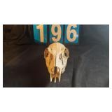 WHITETAIL DOE SKULL