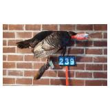 TURKEY ON LOG FULL TAXIDERMY MOUNT