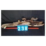 3 SQUIRRELS ON LOG TAXIDERMY MOUNT