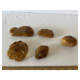 5 pc Amber or Citrine Color Stones