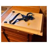 Doggie Door and Dog Harness