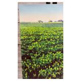 Joseph Sim Signed Lithograph Print 'Last Year For Beans' (Green Variation) Joseph Sim Signed Lithograph Print 'Last Year For Beans' (Green Variation)