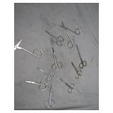 Stainless Steel Scissors
