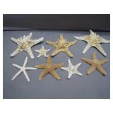 Natural Starfish Specimens
