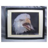 Framed Bald Eagle Artwork Signed by Artist