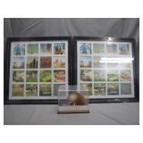 Framed Collages and Football Display Case