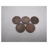 1895-1899 Indian Head Pennies