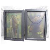 Framed Bird Artworks