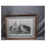 Framed Snowy Owl Art Print With Wood Frame