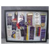 Framed Collection of Pocahontas Ribbons