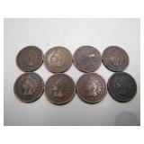 8 Indian Head Pennies (1900-1907)