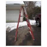 6 Foot Werner Ladder