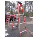8 Foot Werner Ladder