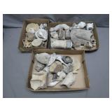 Three Trays of Assorted Fossils