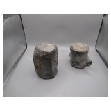Small Whale Vertebrae Fossils