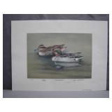 Limited Edition Green-winged Teal Print
