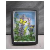 Framed Shadow Box With Real Bug Specimens