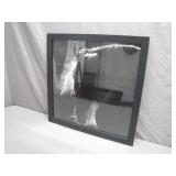 Framed Black-and-White Horse Photograph