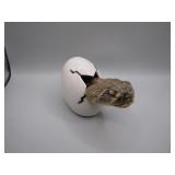 Rattlesnake Taxidermy in Egg Display