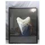 Framed Shark Tooth Poster
