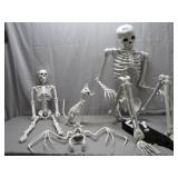 Skeleton Display Set With Accessories