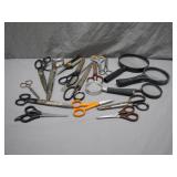 Scissors and Magnifying Glass Collection