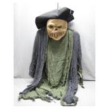 Decorative Pirate Skeleton Prop