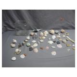 Seashells with Jar