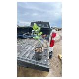 GREEN ASH TREE 2YR OLD