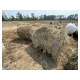 ALFALFA 5X4 ROUND BALES (X5)