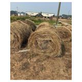 SMALL ROUND GRASS BALES