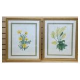 Two Signed Floral Watercolors