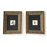 Two Hand Colored Framed Lithographs