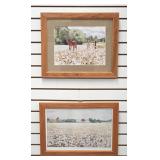 Framed Prints of Cotton Field Scenes