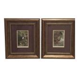 Pr. of Framed Bird Lithographs by Prang