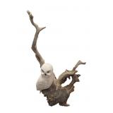 26" Tall Owl Sculpture on Driftwood