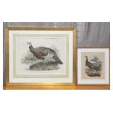 Turkey Re-strikes by Hanhart & Lawson